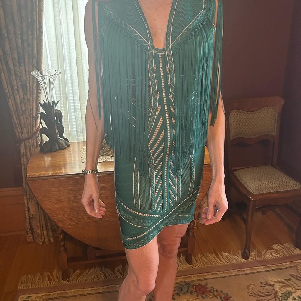 Herve Leger Chic Green Fringe Dress - Picture 2 of 6